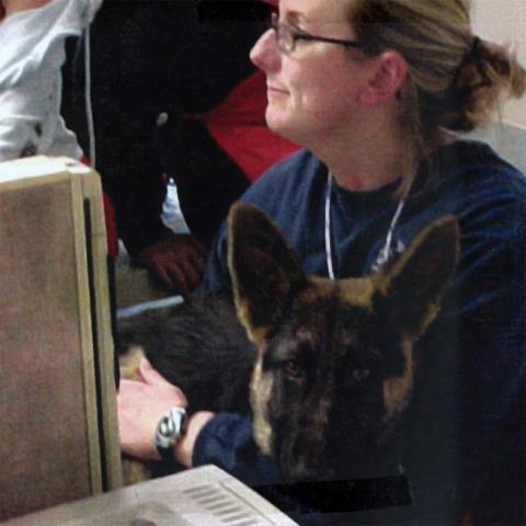 Jen H. works with a Shepherd at a desk