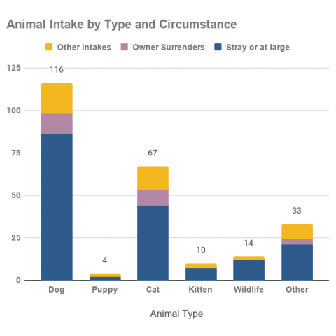 January 2021 Intake by Animal Type and Circumstance
