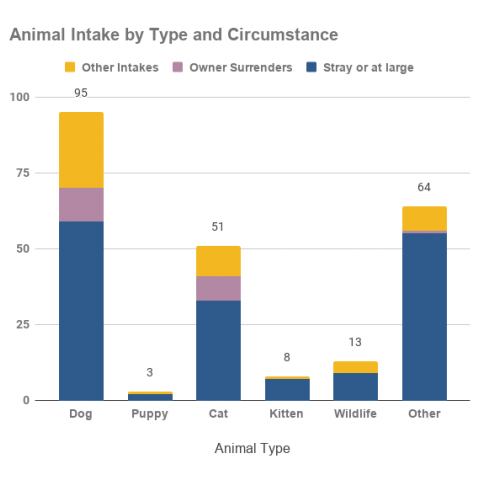 Graph of animal intakes in February 2021 by animal type and intake circumstance