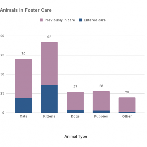 Animals in foster care- September 2021