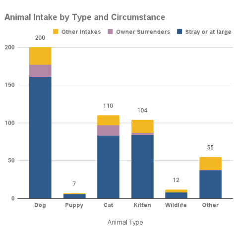 Animal intake by type and circumstance - May 2022