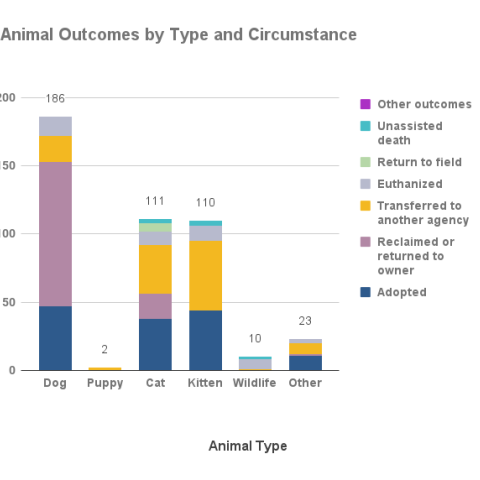 July 2022- Animal Outcomes by Type and Circumstance