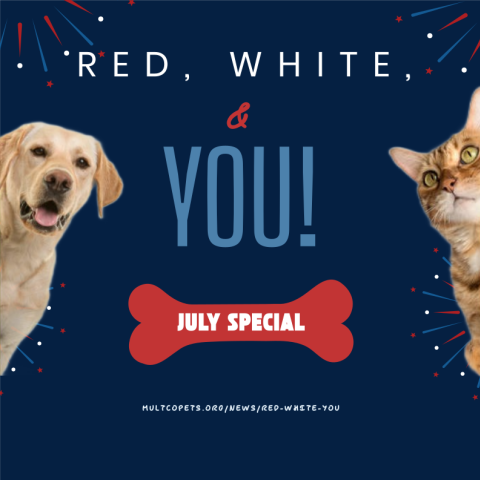Red, White, & You!