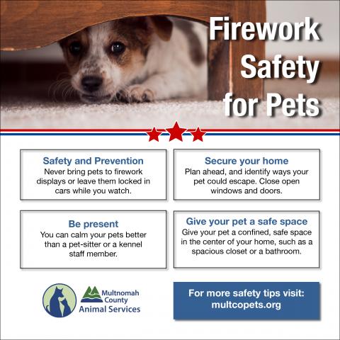 Firework Pet Safety